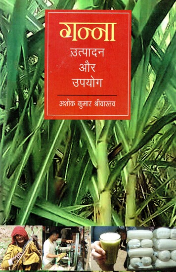 गन्ना: उत्पादन और उपयोग- Sugarcane: Production and Uses