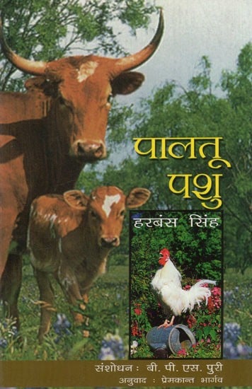 पालतू पशु: Domestic Animal