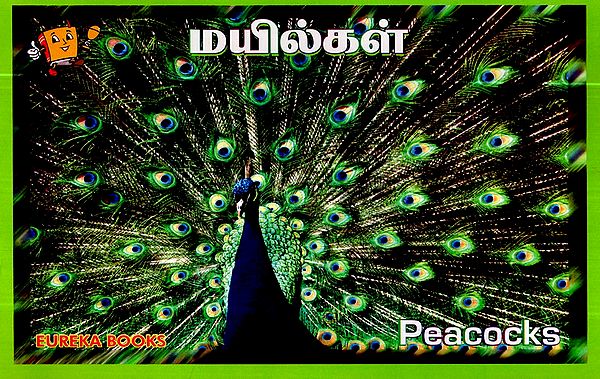 மயில்கள்- Peacocks (Tamil)