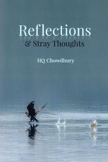 Reflections & Stray Thoughts