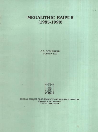 Megalithic Raipur- 1985-1990 (An Old and Rare Book)