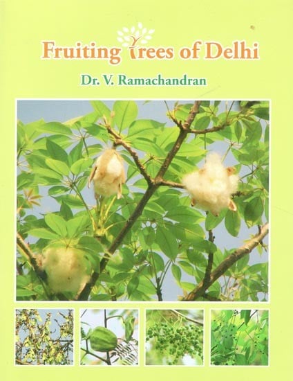 Fruiting Trees of Delhi