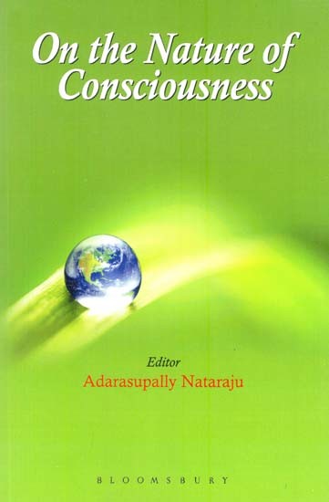 On the Nature of the Consciousness