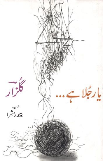 بنکر آدمی- Yaar Julahe Poem by Gulzar (Urdu)