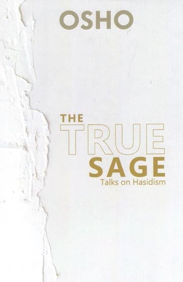 The true sage: Talks on Hasidism