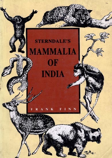 Sterndale's Mammalia of India (A New and Abridged Edition, Throughly Revised and with An Appendix On the Reptilia)