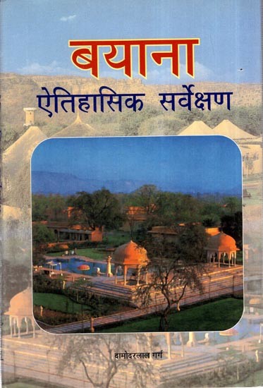 बयाना ऐतिहासिक सर्वेक्षण: Bayana Historical Survey