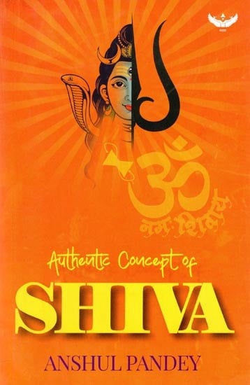 Authentic Concept of Shiva