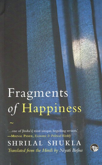 Fragments of Happiness