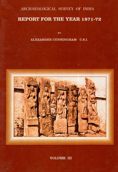 ASI Report for the Year 1871-72 (Volume III)