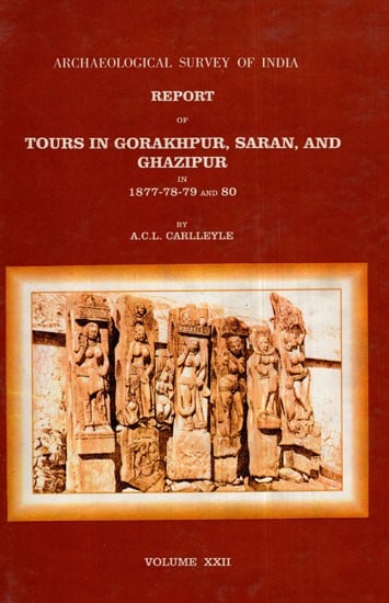 ASI Report of Tours in Gorakhpur, Saran, and Ghazipur in 1877- 78- 79 and 80 (Volume – XXII)