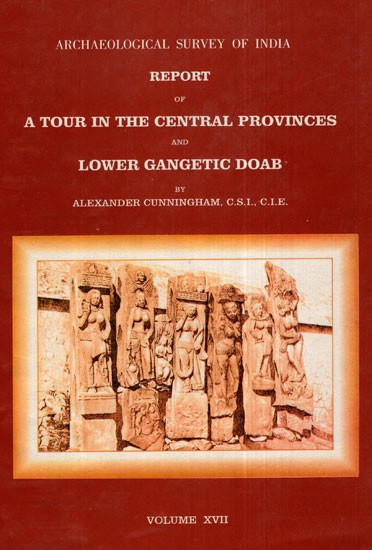 ASI Report of A Tour in the Central Provinces and Lower Gangetic Doab (Volume XVII)
