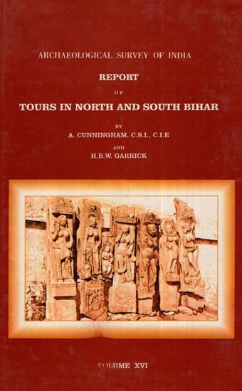 ASI Report of Tours in North and South Bihar (Volume XVI)