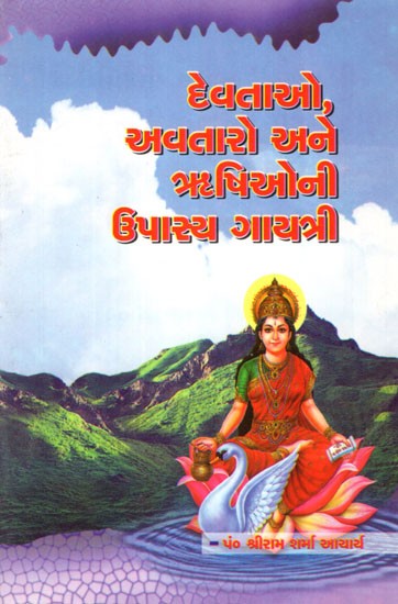 Devtaon,Avataro Ane Rishiyoni Upashya Gayatri (Gujarati)