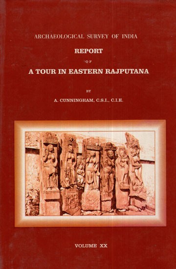 ASI Report of A Tour in Eastern Rajputana (Volume XX)