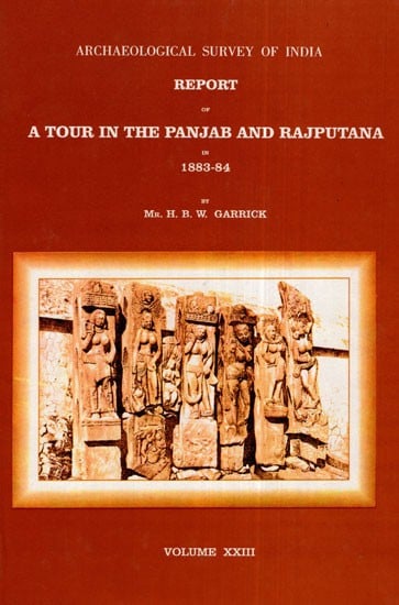 ASI Report of A Tour in The Panjab and Rajputana in 1883-84 (Volume XXIII)