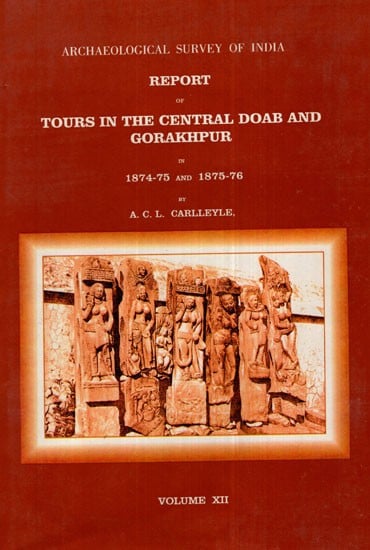 ASI Report of Tours in the Central Doab and Gorakhpur in 1874- 75 and 1875- 76 (Volume XII)