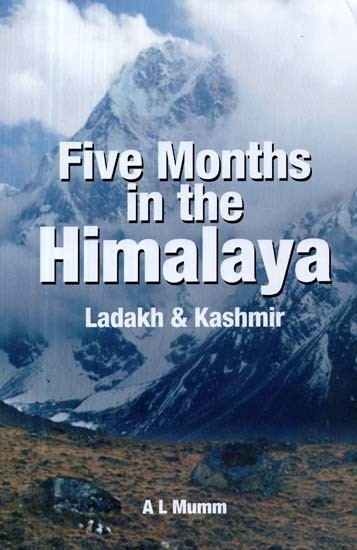 Five Months in the Himalaya: Ladakh & Kashmir