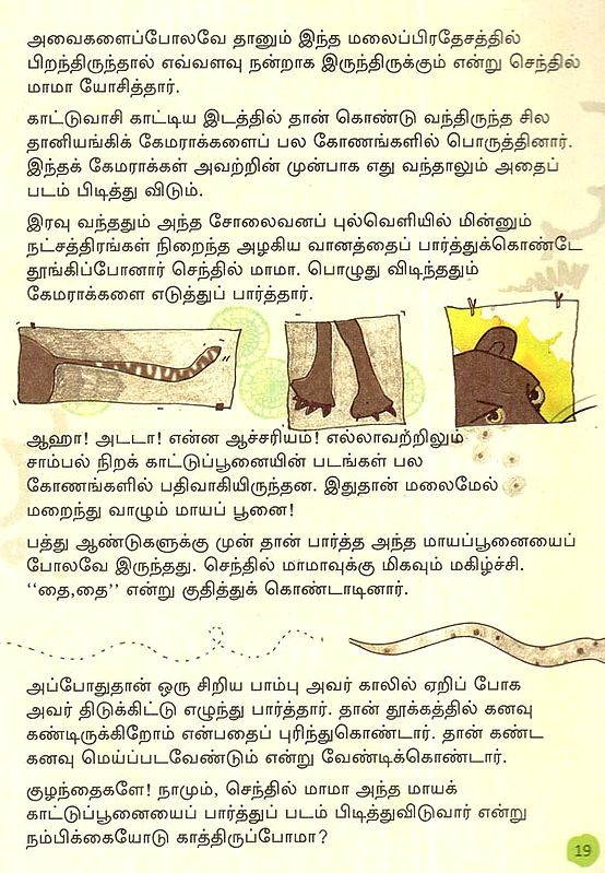 மலைமேல் வாழும் மாயப் பூனை The Magic Cat That Lives on the Mountain