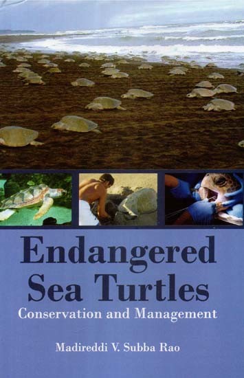 Endangered Sea Turtles- Conservation and Management