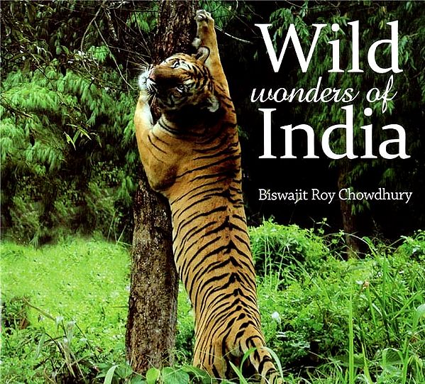 Wild Wonders of India