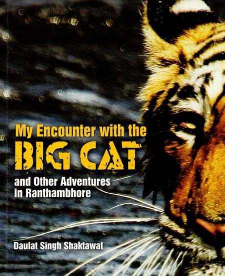 My Encounter With the Big Cat and Other Adventures in Ranthambore