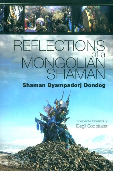 Reflections of a Mongolian Shaman
