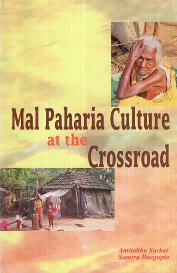 Mal Paharia Culture At The Crossroad