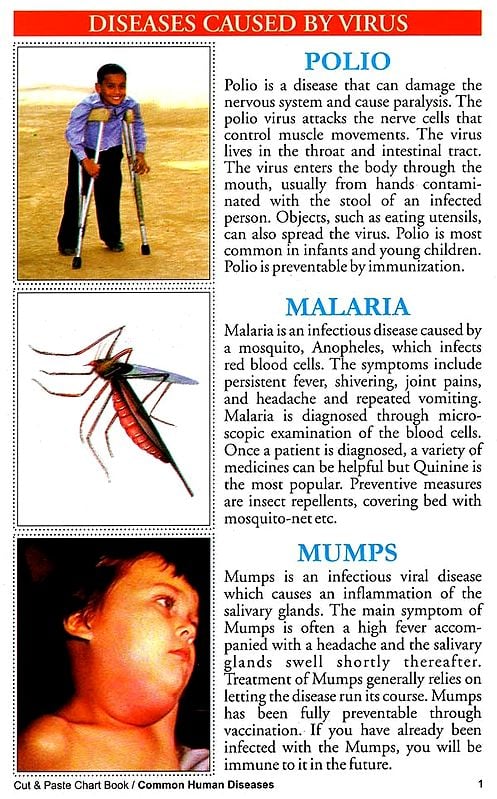 human diseases caused by viruses
