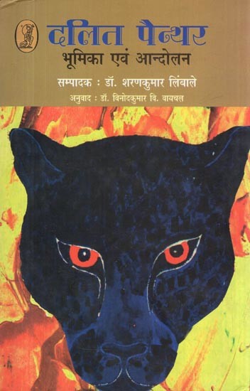 दलित पैन्थर: भूमिका एवं आन्दोलन- Dalit Panther (Role and Movement)