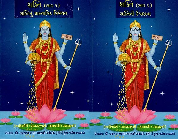 શક્તિ: શક્તિનું પ્રાસ્તાવિક વિવેચન- Shakti: Worship of Divine Energy in Gujarati (Set of 2 Vols.)
