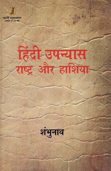 हिंदी उपन्यास राष्ट्र और हाशिया: Hindi Novel Nation And Marginality