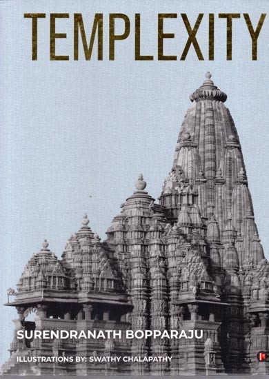 Templexity: Comprehensive Analysis & Interpretation of Temple Art