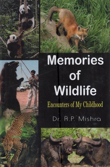 Memories of Wildlife: Encounters of My Childhood