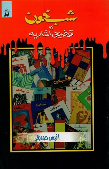 شب خون کا توضیحی اشاریہ: جلد اول- Shab Khoon Ka Tauzeehi Ishariya: Vol-1 in Urdu
