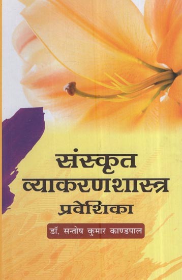 संस्कृत व्याकरणशास्त्र प्रवेशिका: Sanskrit Grammar Introduction