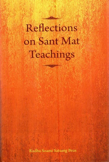 Reflections On Sant Mat Teachings