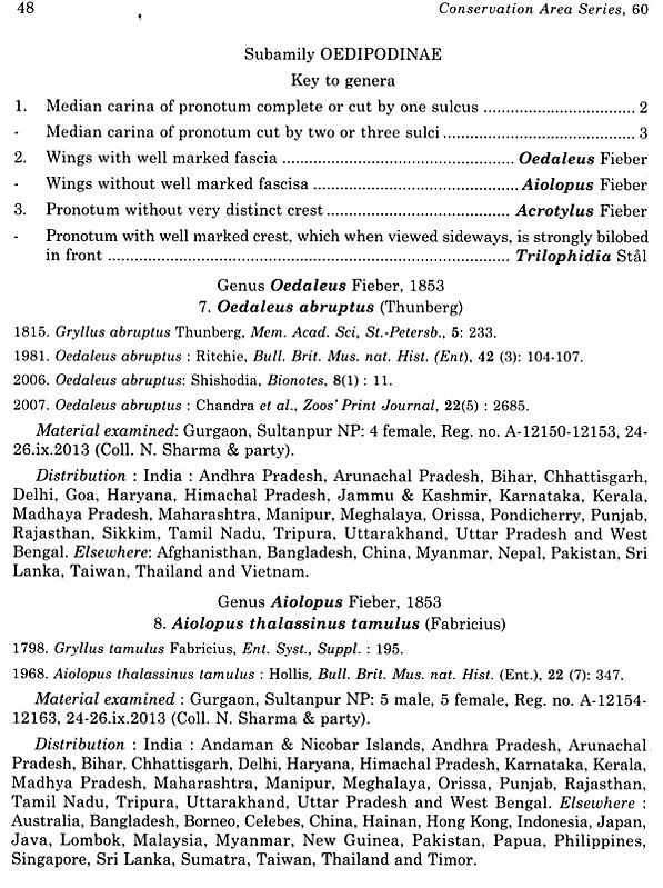 Fauna of Sultanpur National Park- Haryana | Exotic India Art