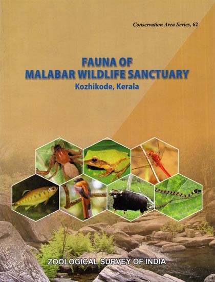 Fauna Malabar Wildlife Sanctuary- Kozhikode, Kerala