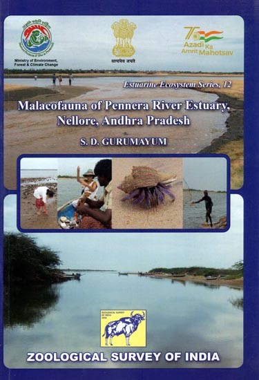 Malacofauna of Pennera River Estuary, Nellore, Andhra Pradesh