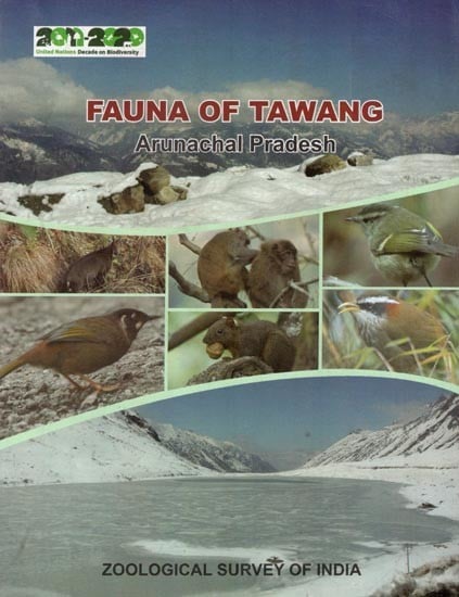 Fauna of Tawang Arunachal Pradesh