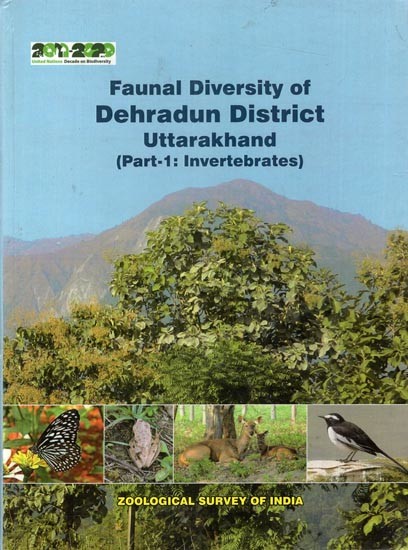 Faunal Diversity Dehradun District- Uttarakhand ( Part-1 Invertebrates)