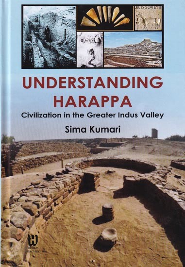 Understanding Harappa: Civilization in the Greater Indus Valley