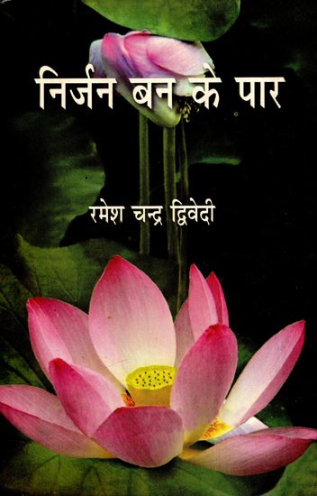 निर्जन बन के पार: Across The Wilderness (Poetry Collection)