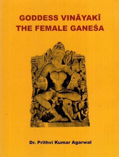 Goddess Vinayaki The Female Ganesa