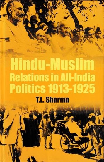 Hindu-Muslim Relations in All-India Politics 1913-1925