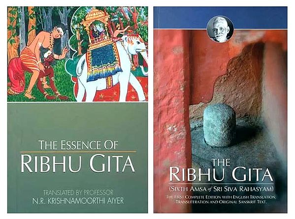 The Ribhu Gita (Set of 2 Books)