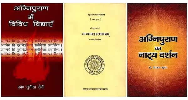 Three Studies on the Agni Purana in Hindi (Set of 3 Books)