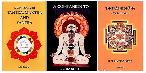 Dictionaries of Tantra (Set of 3 Books)