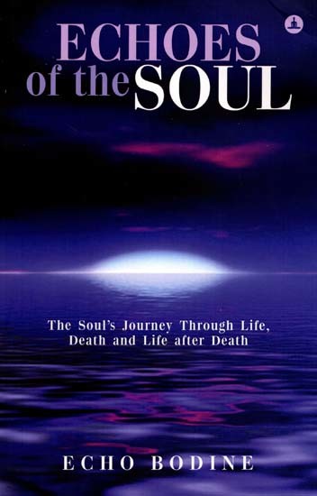 Echoes of the Soul- The Soul's Journey Through Life, Death and Life after Death